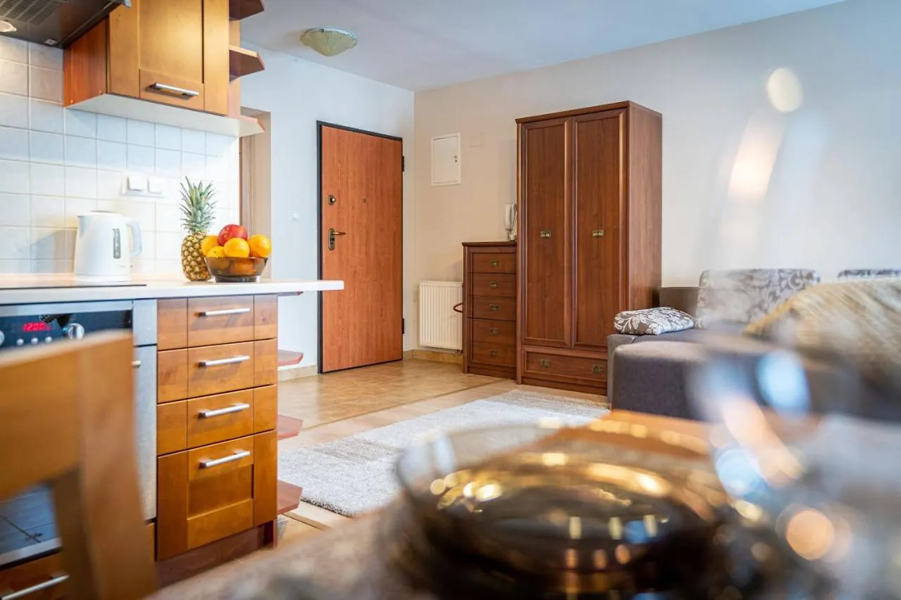 Apartment Apart-Styl Apartamenty Zakopane- Brzozowa, Centrum Miasta