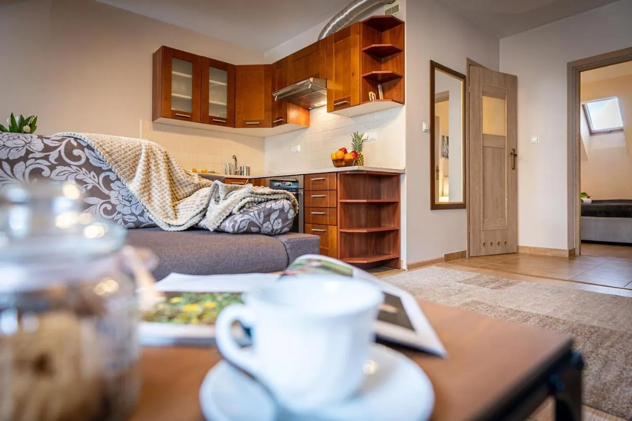 Apart-Styl Apartamenty Zakopane- Brzozowa, Centrum Miasta Poland