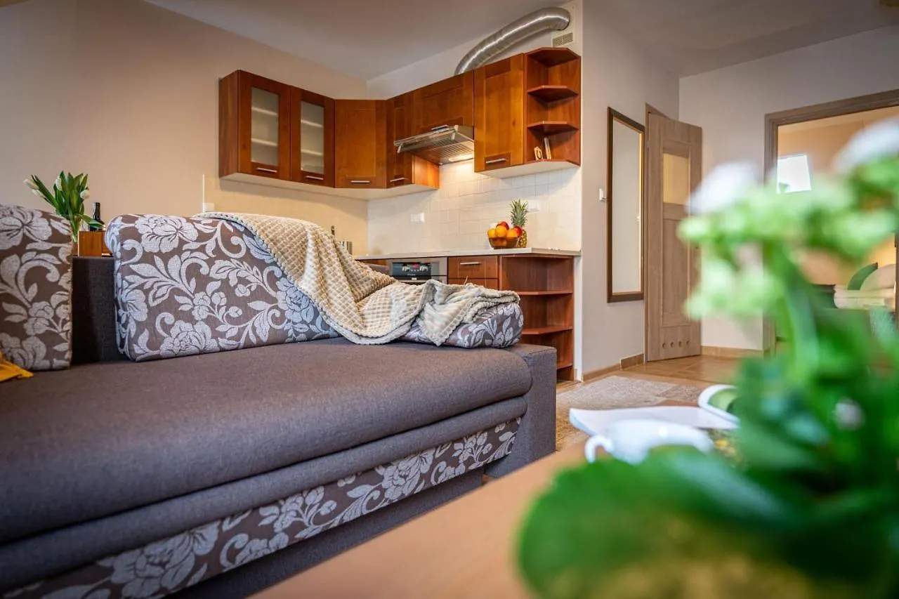 Apartment Apart-Styl Apartamenty Zakopane- Brzozowa, Centrum Miasta Poland